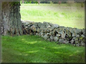 stone fences